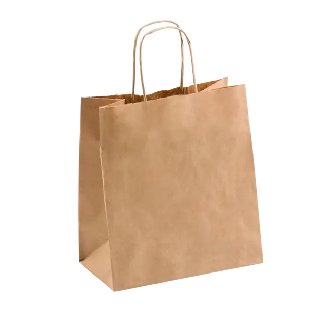 Small Delivery Bag with Handle 300's Value Pack Perth