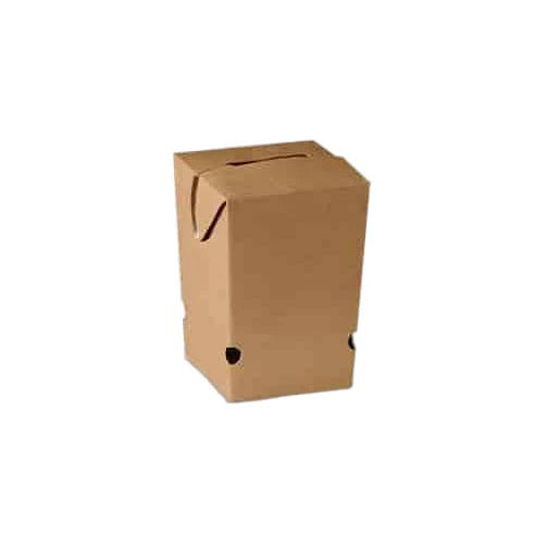 CCS Chicken Nugget Box Small - upright kraft carton