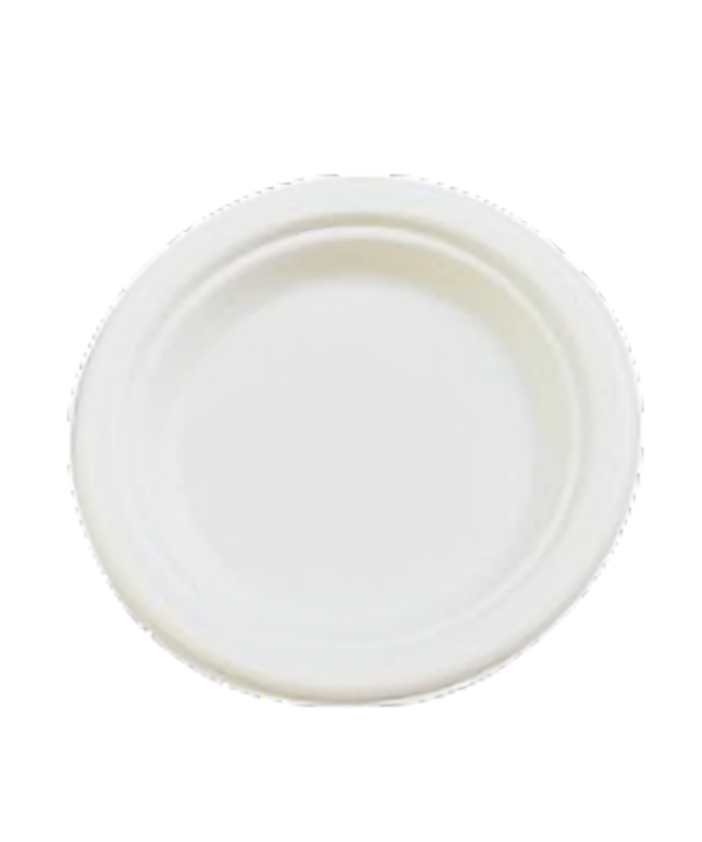 10" Round Plate (500/ctn)