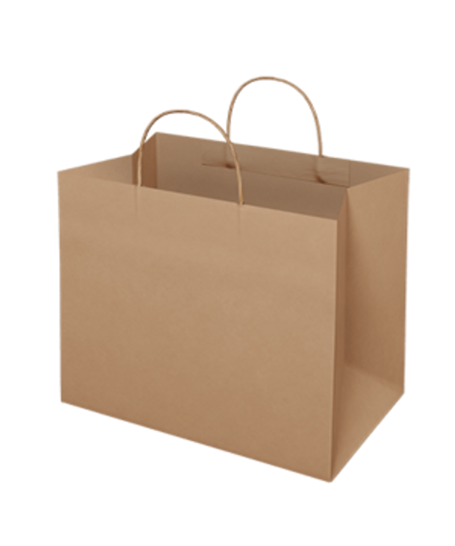 Paper Bag with Handles Regular Size 300's
